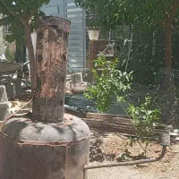 بخاری گزایلی