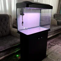 اکواریم دلسا 60 سانتی