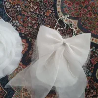 کیف شاباش عروس