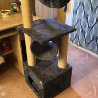 اسکرچر گربه درخت گربه