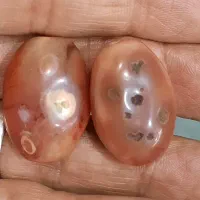 یک جفت مهره سلطانی خاص و پر انرژی