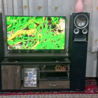 اسپیکر حرفه ای میکرولب