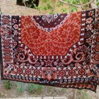 ۲عددپتوتک نفره
