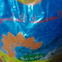 افتاب گردان خام