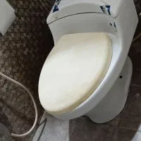 توالت فرنگی