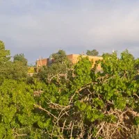 فروش باغ کشاورزی جوپار