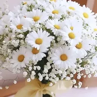 مربی،مهد قرآن ۳روزدرهفته