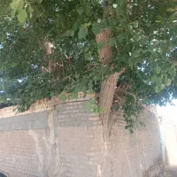 200متر-ویلایی-باغی