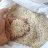 سرلاشه پاکستان در برنج و حبوبات محمدی