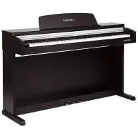 پیانو کورزویل M210 SR Kurzweil