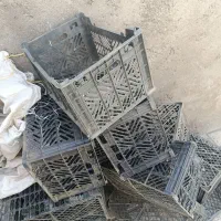سبد