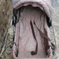 کالسکه مارک دلیجان