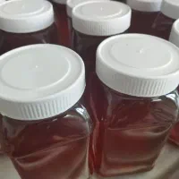 عسل کوهی