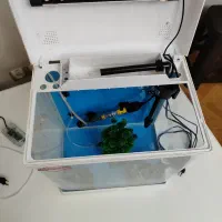 آکواریوم شرکتی آکوا