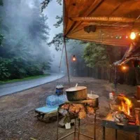 تور یکروزه ساحل و جنگل گیسوم لحظه آخری