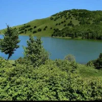 تور شاد و مهیج