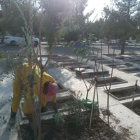 سرقبر کنارقبر سرمزار کاشتن نهال درخت گل وگیاه در|خدمات باغبانی و درختکاری|تهران, باغ خزانه|دیوار