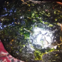 سنگ معدنی یشم مشکی