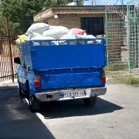 پیاز زعفران کلی جزئی