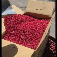 زرشک وزعفران