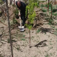 باغبانی وسمپاشی دماوند وکل تهران