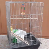 قفس پرنده