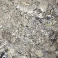 زیل یا کود پرنده