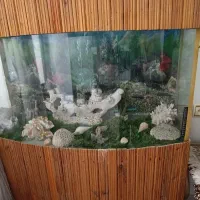 فروش آکواریوم