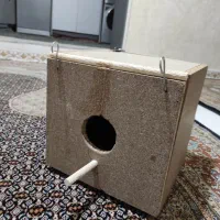 لونه ی شاه طوطی و ملنگو