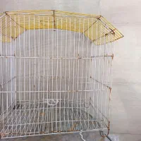قفس پرنده