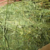 یونجه