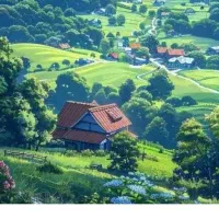 (استخدام و کار در منزل)