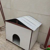 لانه حیوانات تمیز وبادوام