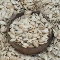 تخمه آفتابگردان قیمت قبل