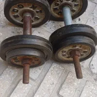 دمبل