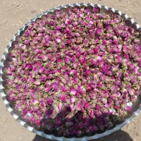 غنچه درشت