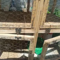 قفس چوبی