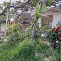 ویلا باغ