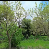 باغ روستای کهندان