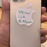 13 pro max