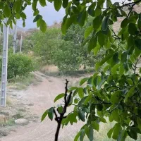 12قصب زمین در روستای سربیژن