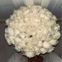 گل رز تازه ۱۰۰ عدد
