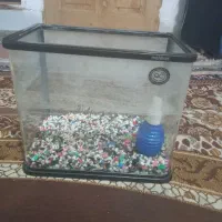آکواریوم شیشه خم در حدنو