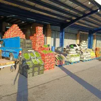 لیموترش سبدی