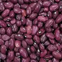 لوبیا قرمز زنجان