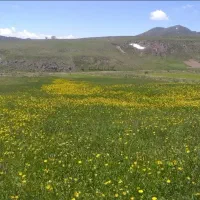 طبیعت گردی