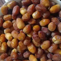 رطب