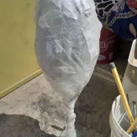 آکواریوم جام بزرگ