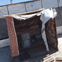قفس کوچک و بزرگ اهن همراه با تور