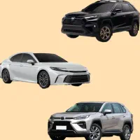 جانبازی .